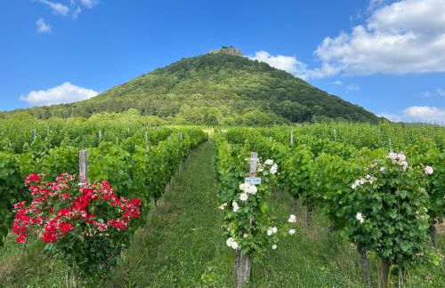 Steinach Apartment - Photo 35