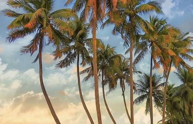 Mardisa Design by Jess Hospedagens - Foto 39