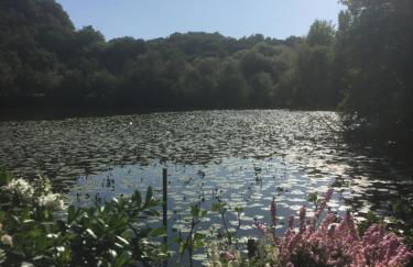 La Maison de Beauport - Photo 8