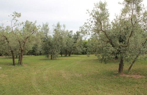 Agriturismo Piano Grande - Foto 32