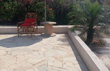 Sítio Araújo - Foto 9