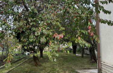 Monfalcone Easy Stay WEST - Photo 30