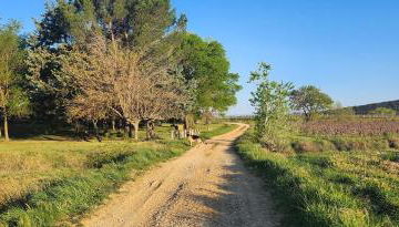 Domaine Roulotte Farigoule - Foto 4