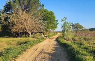 Domaine Roulotte Farigoule - Foto 4