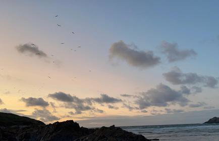 Cornish Crantock Holiday Sandy Toes - Foto 22