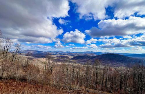 Skyview Hideaway - New Rental 2025 - Photo 31