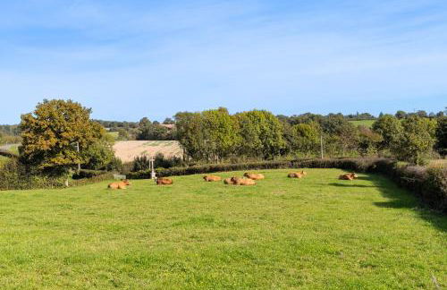 Gîte Le Bouton D'or 8min Puy du Fou - Foto 21