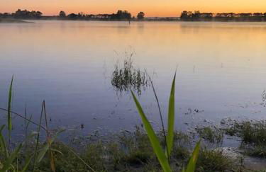 Haus an Fluss und See - Foto 65