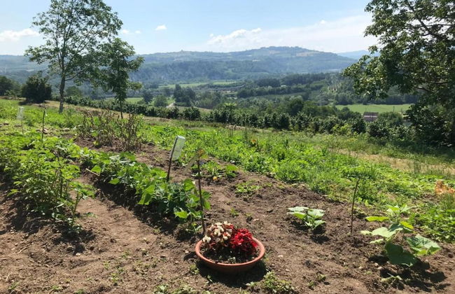 Mansion in Langhe With Pool and Winery Charm - Foto 35