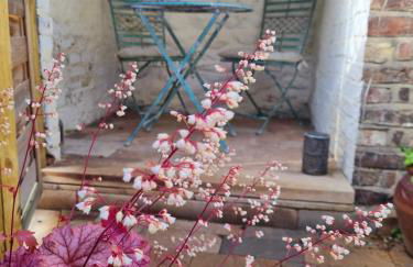 Bluebird Cottage - Foto 22