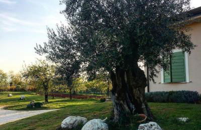 Agriturismo di charme Erbadoro - Foto 57