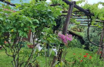 Ranalista PT - Foto 17