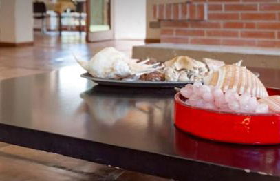 Villa Betty - Foto 24