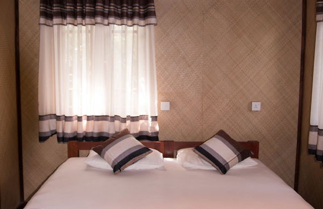 Thick forest sigiriya - Photo 8