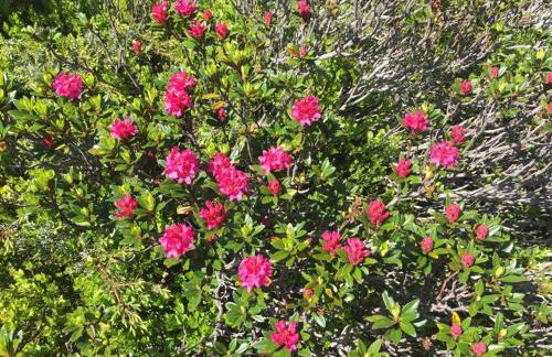 Appartamento Panoramic - Foto 27