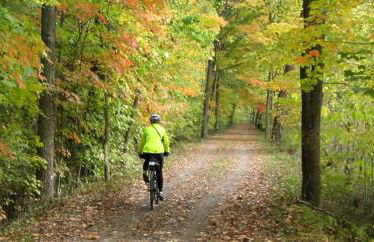 Beautiful Cabin with Hot Tub Surrounded by Trees in Confluence, Pennsylvania - Foto 19