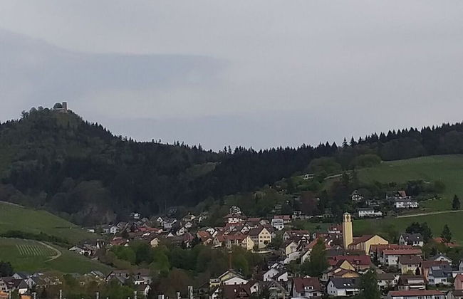 Holiday Apartment Kastanienhalde - Foto 20