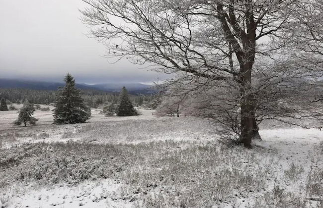 Ruhig Gelegenes Appartement in Niedersfeld - Foto 19