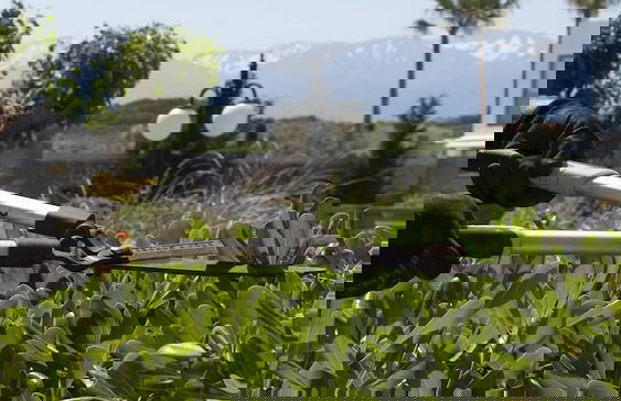 Maleme Mare Beach Resort Hotel - Foto 69