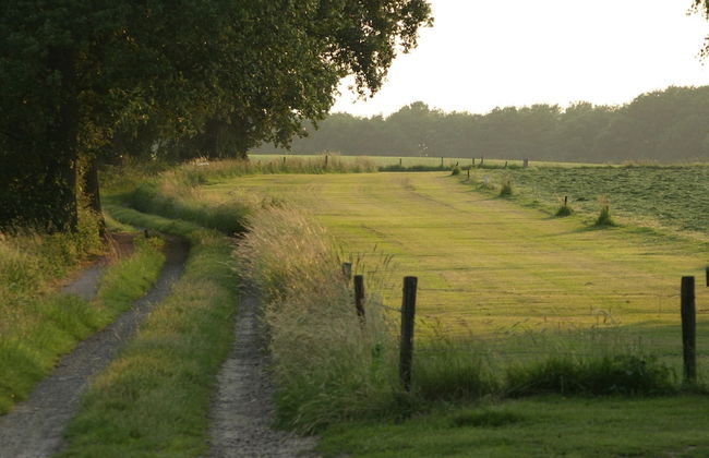 Cosy Chalet With gas Fireplace in Twente - Foto 22