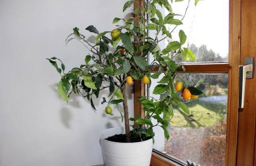 Ultra Alpes Luitpold - Foto 18