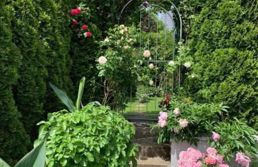 SECRA Exclusive Zum Sternberg - Foto 13