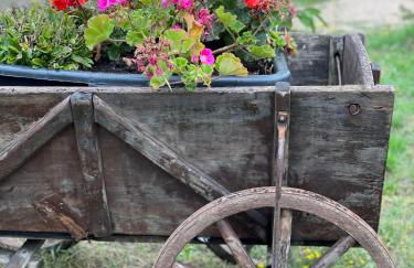 Ferienwohnung Heinz - Foto 28