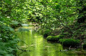 Mandala Źródła Natury SPA - Foto 8