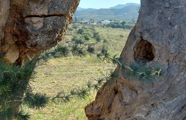 Casita Johanna - Foto 10