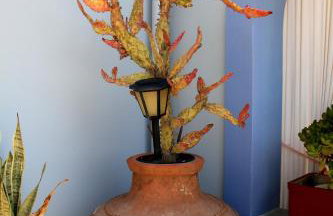 Aigli Apartments - Foto 4