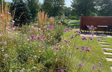 Ferienhaus Weisdin - Foto 47