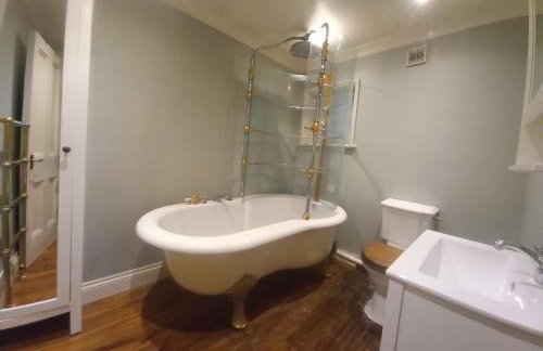 Elegant & spacious parkside 2-bedroom 2-bathroom flat in period building facing Blackheath - parking, great Greenwich location, easy for O2 Arena and City, very near Marathon start line! - Foto 15