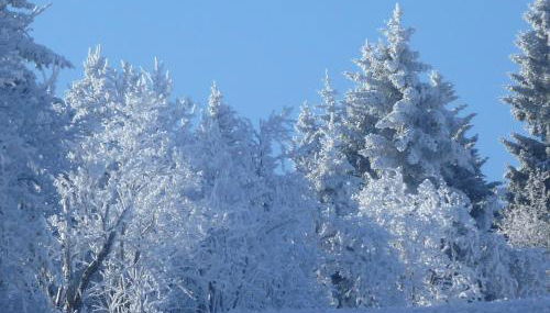 Ferienwohnung Cafe`Rotter , Brigitte und Jürgen Rotter - Foto 3