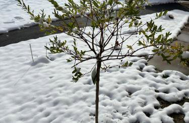 Villa Međimurka - Foto 31