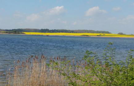 Ferienhaus Klönstieg - Foto 16