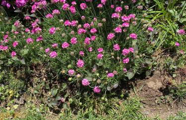 Maison Montello - Foto 26