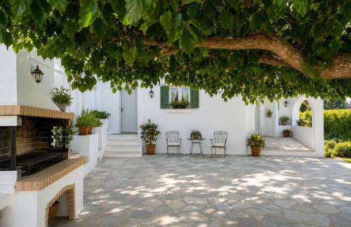 Stellinas Pretty House - Foto 30