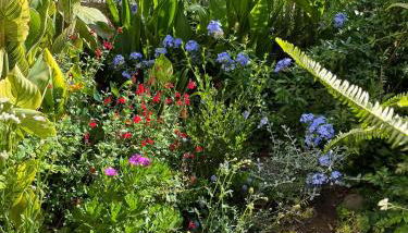 Casa Flow and Glow - Foto 3