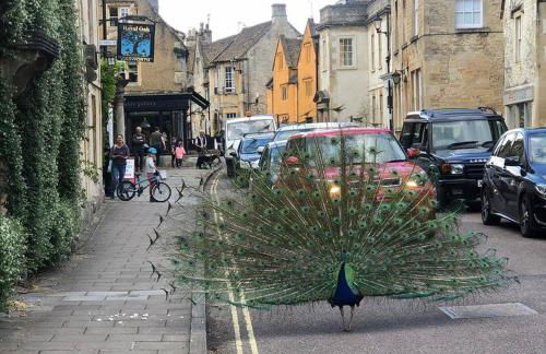 Self-contained Apartment - Foto 16