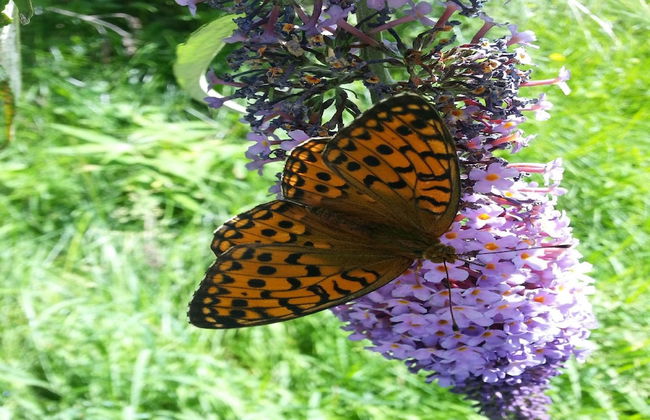 Agriturismo Al Marnich - Foto 73