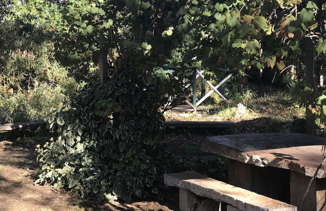 Padthaway Caravan Park - Foto 50