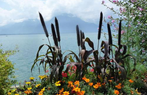 Two Bedroom Apartement Belle Vue - Foto 25