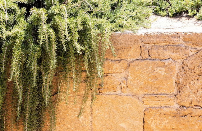 Agua Green Resort - Foto 30