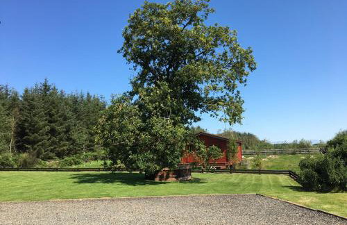 Gamepark Wood Holiday Cottage - Foto 5