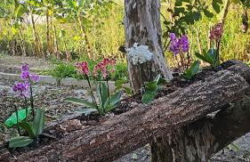 Lugar Aconchegante 3 - Foto 12