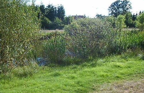 Ferienwohnungen Manfred Peters Baven - Photo 56