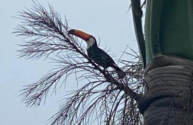 Sossego e diversão em Igarata - Photo 12