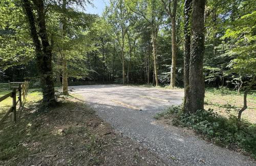 Le Chene du Verger Nature forest - Foto 38