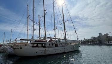 Southern Cross - Foto 4