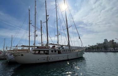 Southern Cross - Foto 4